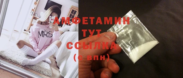 крисы Алексин