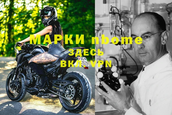 крисы Алексин